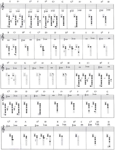 bass clarinet finger chart
